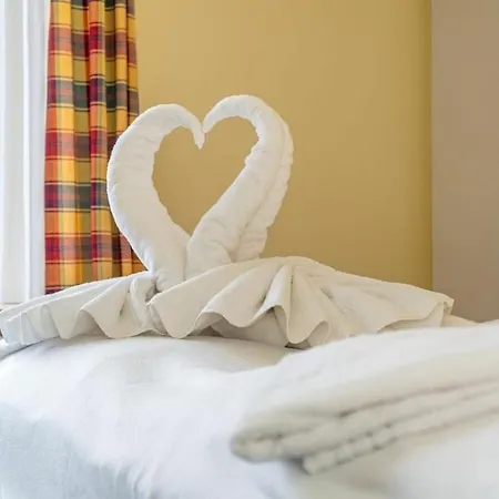 Sola Bona App 10 베스터란트